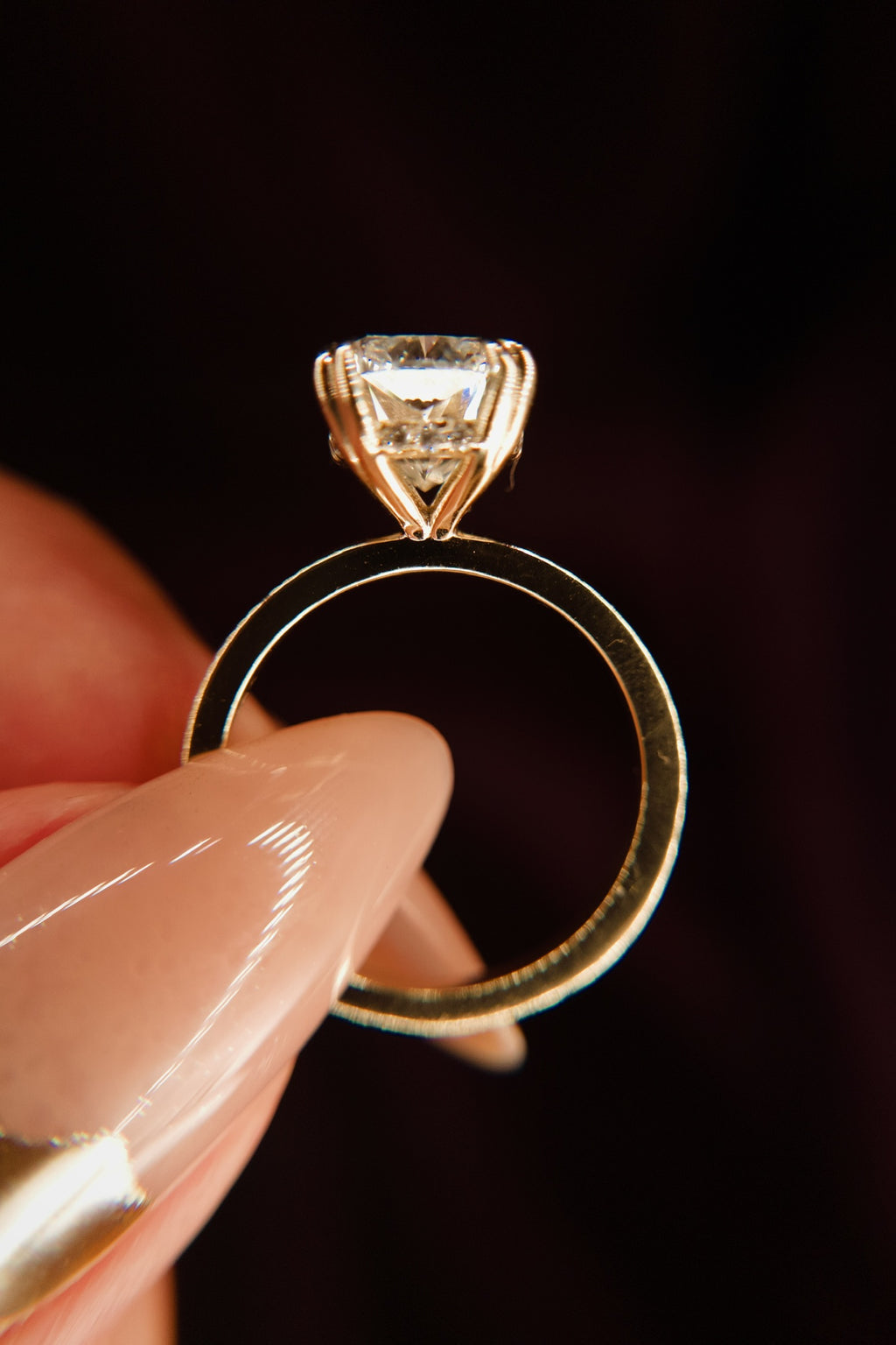 Double Claw Cushion