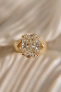 Cushion Cut w/ Split Shank Cathedral